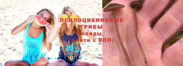 стаф Беломорск