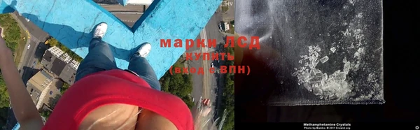 дживик Белокуриха