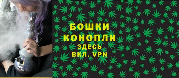 дживик Белокуриха