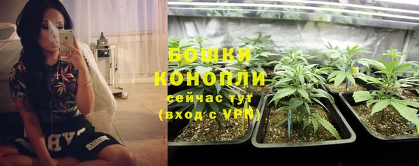 дживик Белокуриха