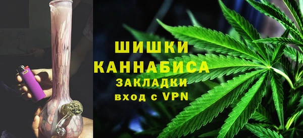 дживик Белокуриха