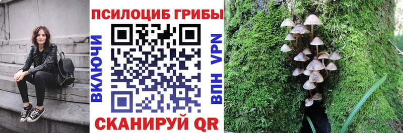 Галлюциногенные грибы Psilocybine cubensis  OMG ССЫЛКА  дарк нет как зайти  Острогожск 