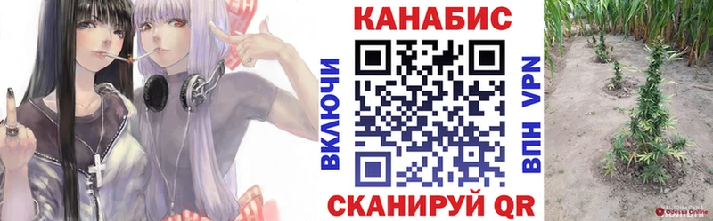 Канабис сатива  blacksprut ССЫЛКА  Острогожск 